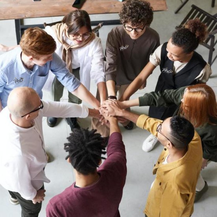 Mini-PhD Partnerships for Schools and Companies
